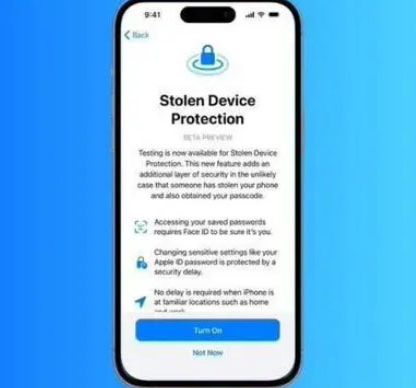 上蔡苹果授权维修店分享被盗设备保护功能开启方法 