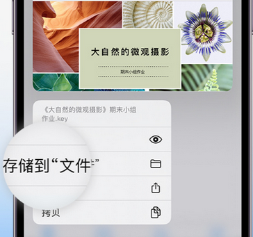 上蔡apple维修中心分享iPhone文件应用中存储和找到下载文件