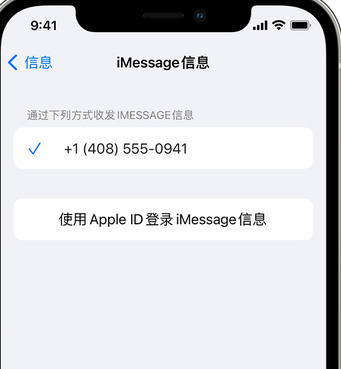 上蔡apple维修iPhone上无法正常发送iMessage信息 