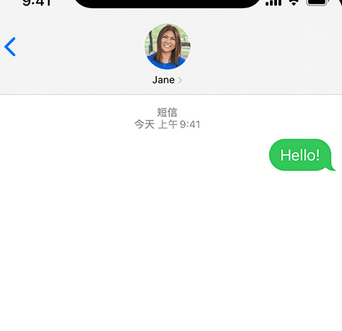 上蔡apple维修iPhone上无法正常发送iMessage信息