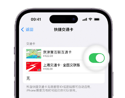 上蔡apple维修点分享iPhone上更换Apple Pay快捷交通卡手绘卡面 