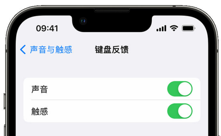 上蔡苹果手机维修分享iPhone 14触感键盘使用方法 