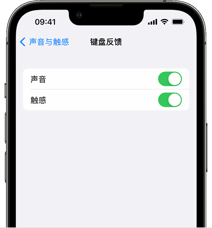 上蔡苹果14维修店分享如何在 iPhone 14 机型中使用触感键盘 