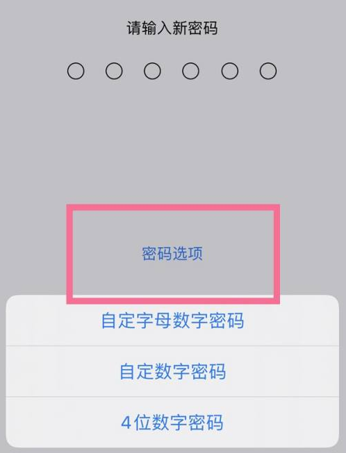 上蔡苹果14维修分享iPhone 14plus设置密码的方法 