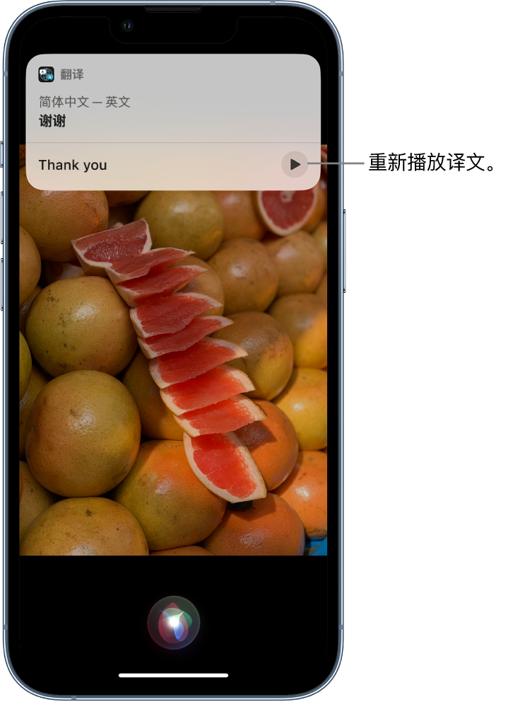 上蔡苹果14维修分享 iPhone 14 机型中使用 Siri：了解 Siri 能帮你做什么 