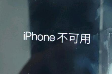 上蔡苹果服务网点分享锁屏界面显示“iPhone 不可用”如何解决 