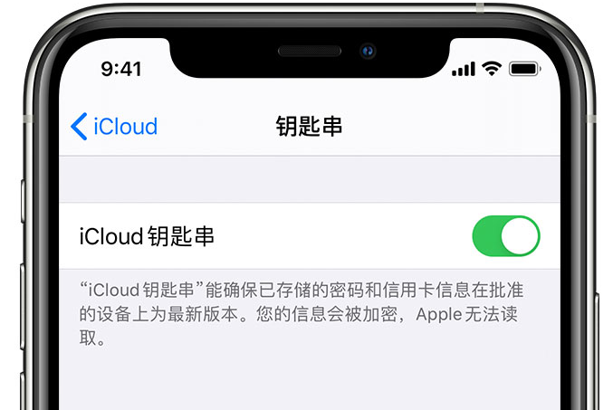 上蔡苹果手机维修分享在 iPhone 上开启 iCloud 钥匙串之后会储存哪些信息 