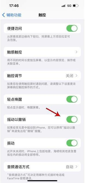 上蔡苹果手机维修分享iPhone手机如何设置摇一摇删除文字 