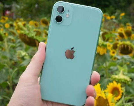 上蔡苹果维修点分享iPhone 11锁屏密码认知与使用科普 
